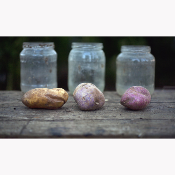 Aardappelen met glazen potten